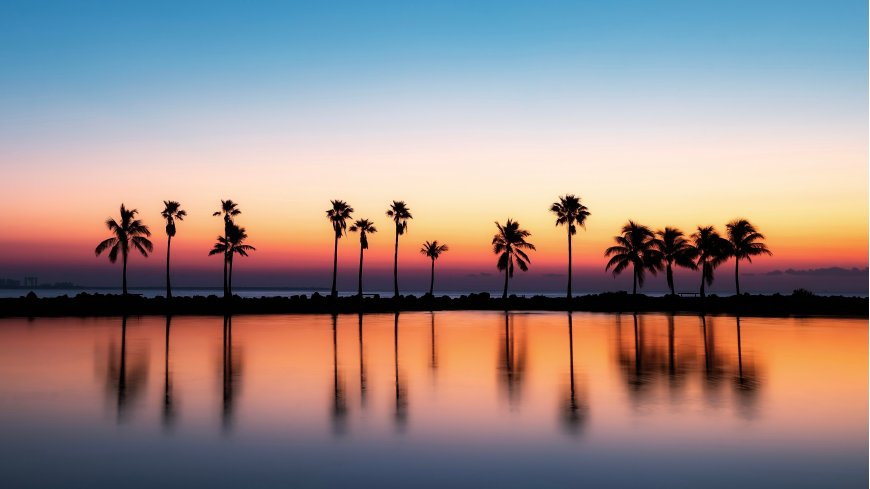 椰树夕阳倒影唯美海边风景电脑壁纸