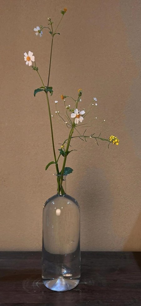 玻璃瓶白雏菊插花木质桌面简约花卉手机壁纸
