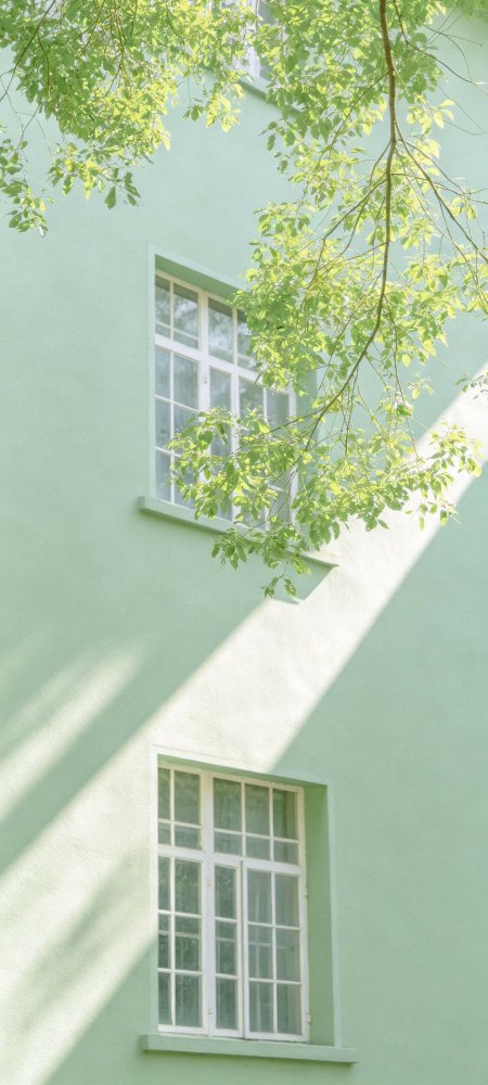 薄荷绿建筑树影窗清新唯美建筑手机壁纸