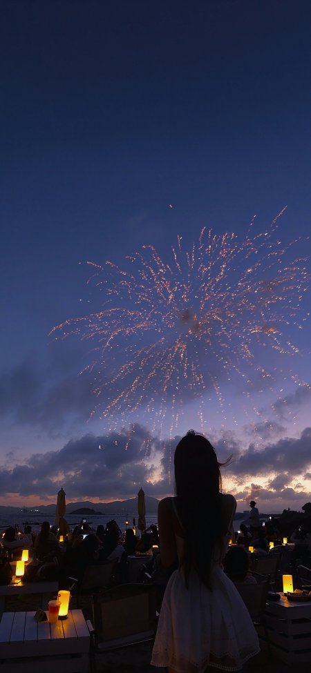 海边烟花剪影夜景浪漫氛围风景手机壁纸