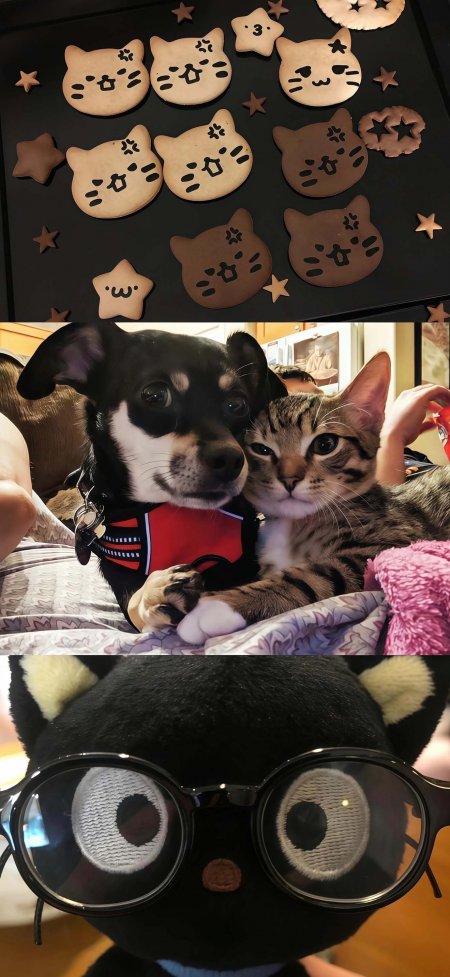 萌宠猫狗饼干公仔拼贴治愈卡通动漫手机壁纸