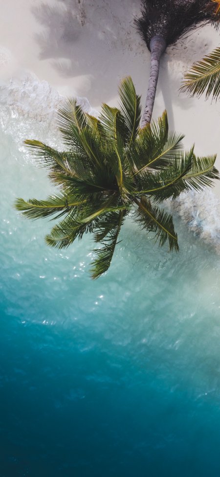 航拍椰子树蔚蓝海水白沙夏日风景手机壁纸