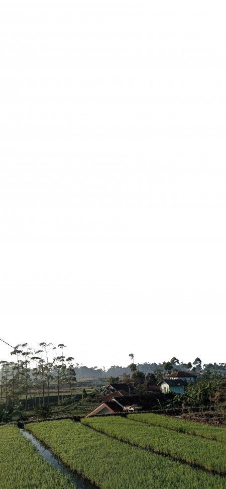 稻田村落白天空旷唯美风景手机壁纸
