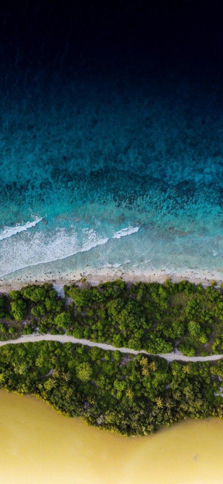 航拍热带海岸蓝绿海面椰林风景手机壁纸