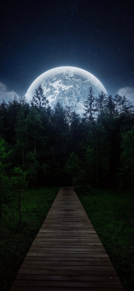 森林大月亮木栈道星空夜景治愈风景手机壁纸
