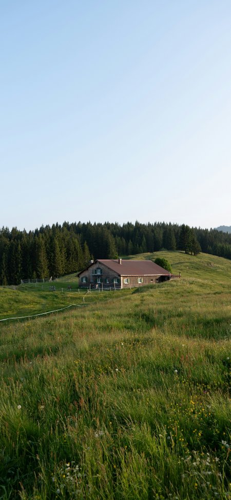 森林草地小木屋田园治愈风景手机壁纸