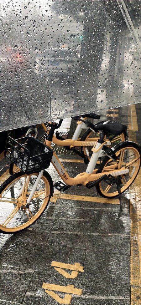 雨天透明伞共享单车街景风景手机壁纸