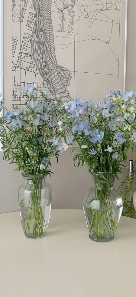 浅蓝小花玻璃花瓶清花卉手机壁纸