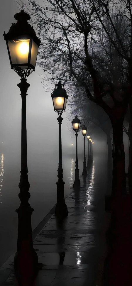 浓雾夜色路灯倒影湖畔情感文艺手机壁纸