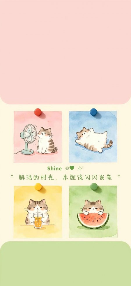 夏日猫咪西瓜风扇四格动物手机壁纸