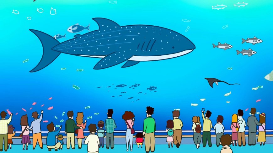 蜡笔小新水族馆观赏巨大鲸鲨二次元动漫电脑壁纸