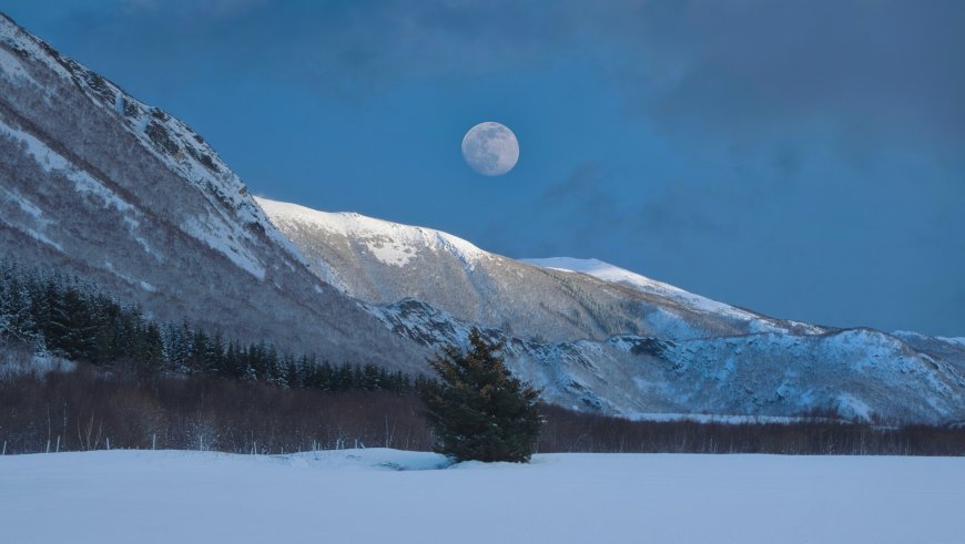 冬夜圆月雪山孤松雪原风景电脑壁纸
