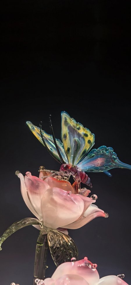 琉璃彩蝶落粉花晶莹静物特写手机壁纸