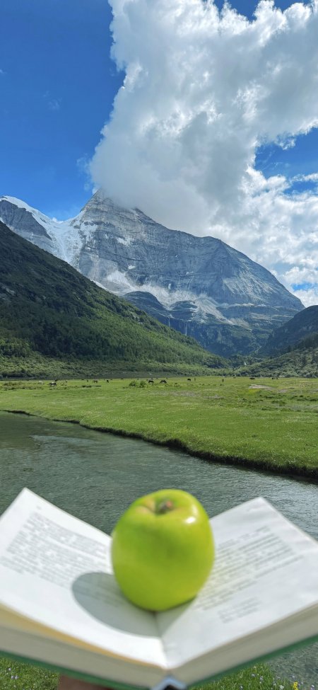绿苹果书本雪山草原风景手机壁纸