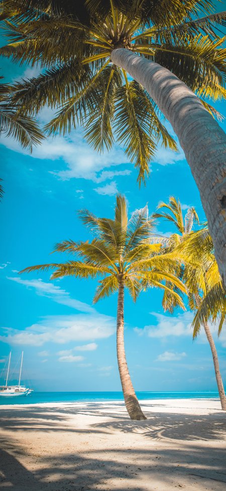 蓝天椰树白沙滩夏日海景风景手机壁纸