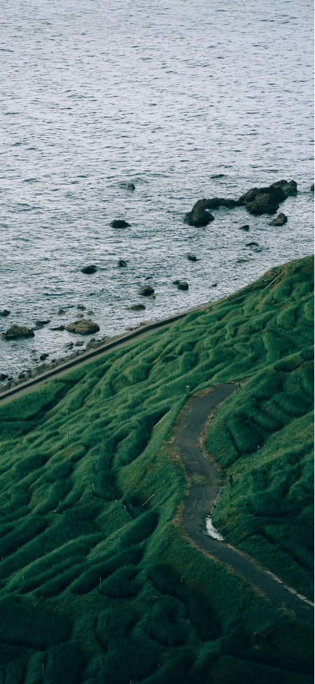 海边翠绿梯田治愈航拍风景手机壁纸