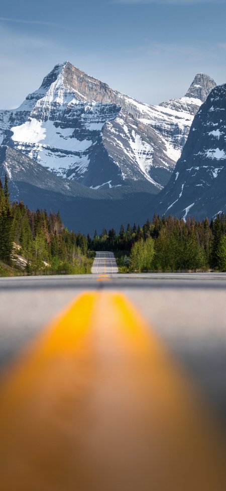 雪山公路黄线森林纵深远景风景手机壁纸