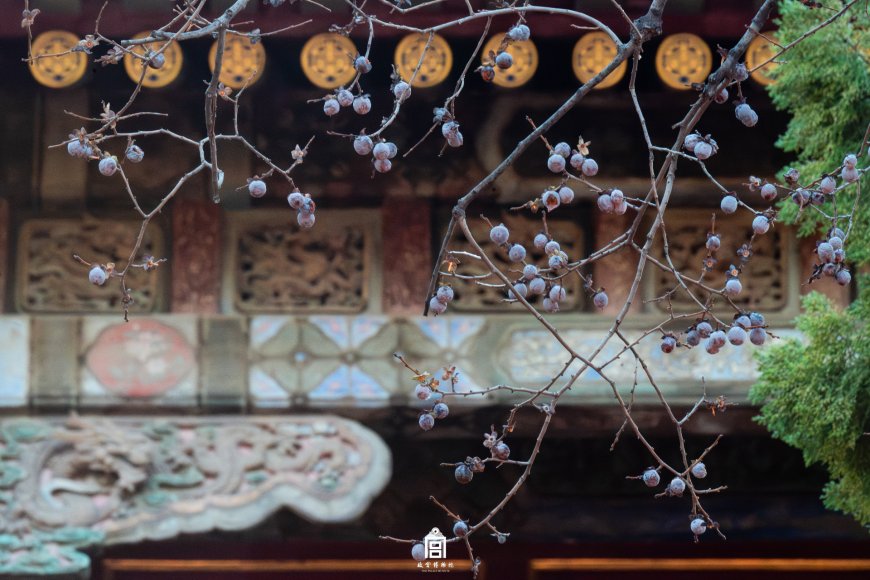 古建冬枝紫果金饰中式庭院风景电脑壁纸