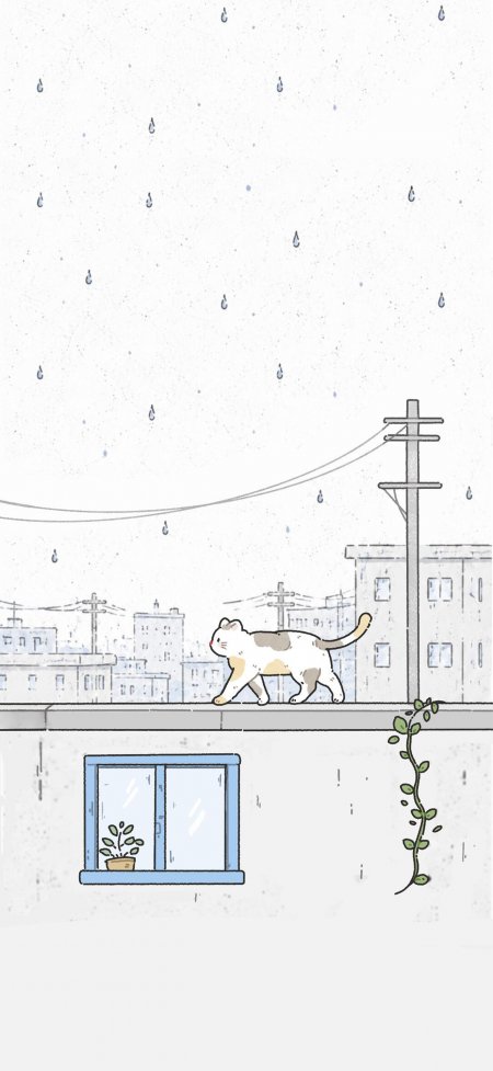 雨天城市屋顶行走猫咪动漫手机壁纸