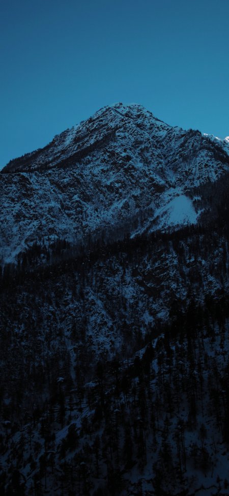 蓝调雪山密林夜色冷峻风景手机壁纸