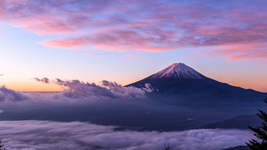 富士山云海朝霞粉霞松枝剪影风景电脑壁纸