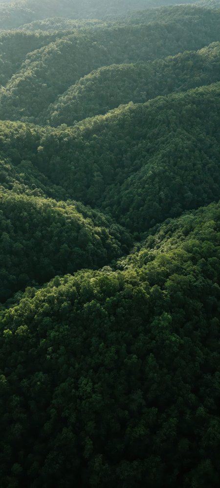 航拍层层翠绿山峦森林风景手机壁纸