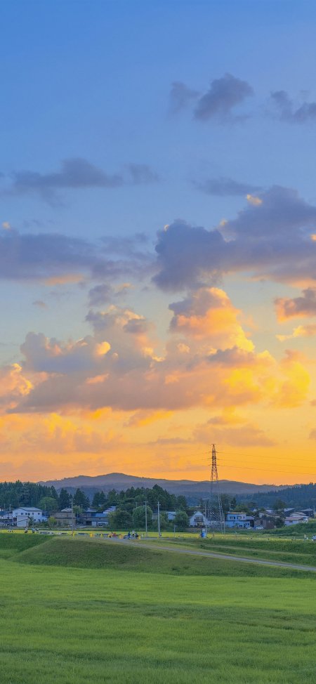 乡村田野晚霞金云治愈风景手机壁纸