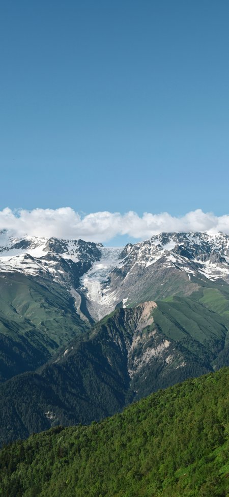 雪峰冰川翠绿森林蓝天风景手机壁纸