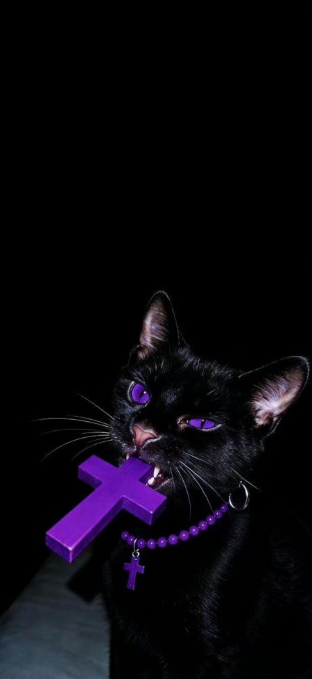 紫瞳黑猫衔十字架暗黑动物手机壁纸