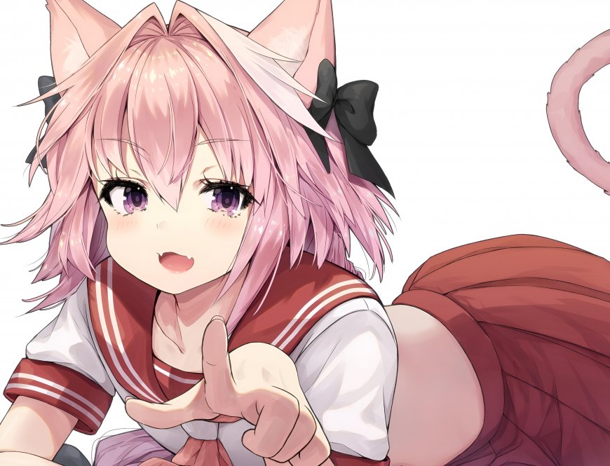 命运冠位指定阿斯托尔福猫耳水手服少女动漫电脑壁纸