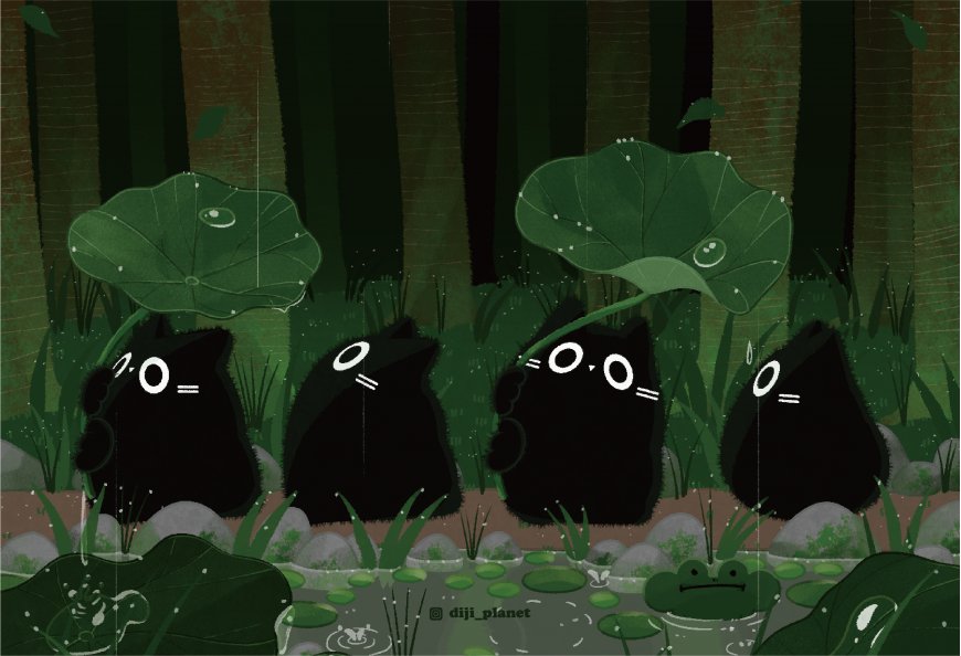 黑猫荷叶雨中森林治愈系创意电脑壁纸