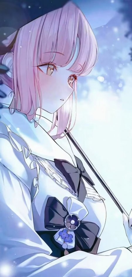 粉发少女星空动漫手机壁纸