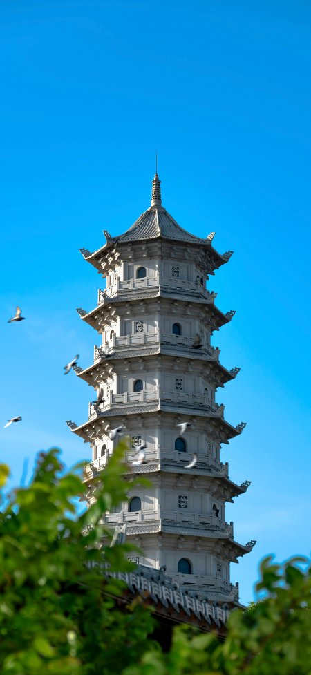 纯净蓝天白色多层古塔飞鸽环绕风景手机壁纸