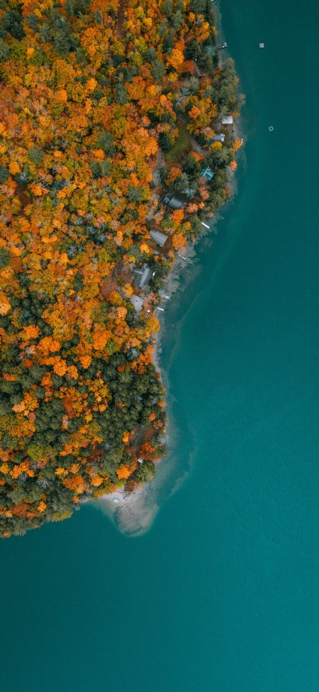 航拍秋季金黄森林碧绿湖泊风景手机壁纸