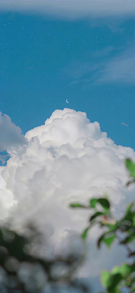 蓝天硕大白云弯月星点绿叶仰望风景手机壁纸