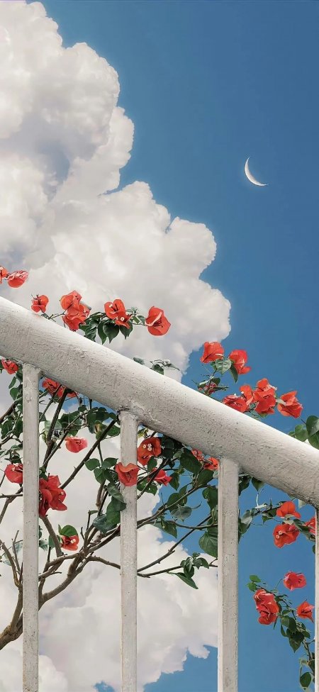 蓝天白云红花扶手弯月清新风景手机壁纸