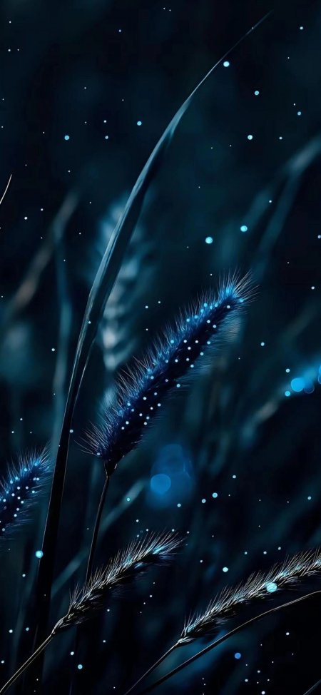 深蓝夜空发光狗尾草梦幻风景手机壁纸
