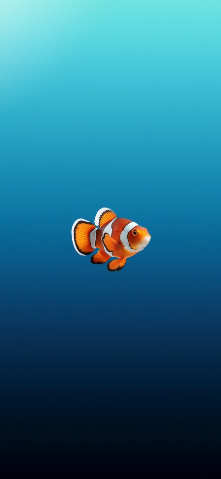 小丑鱼深海游动简约手机壁纸
