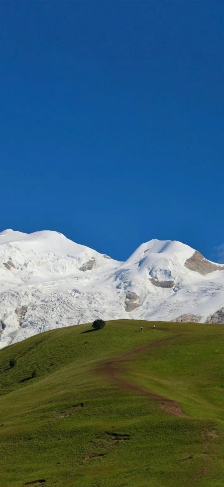 雪山草地蓝天蜗延小路户外壮丽风光风景手机壁纸
