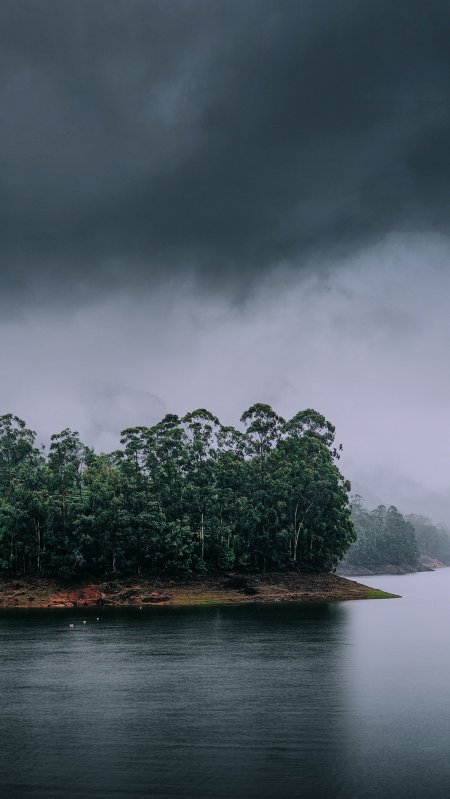 阴雨朦胧湖泊茂密丛林自然风光风景手机壁纸