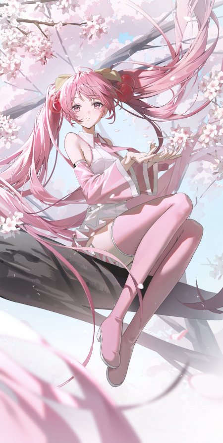樱花初音粉发枝头春日动漫手机壁纸