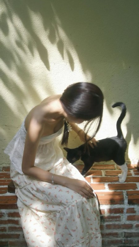 长发美女抚摸黑猫红砖墙树影碎花裙人物手机壁纸