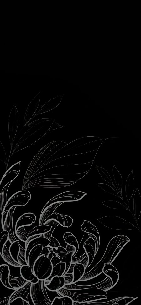 黑色背景白色线描菊花简约装饰纹理手机壁纸