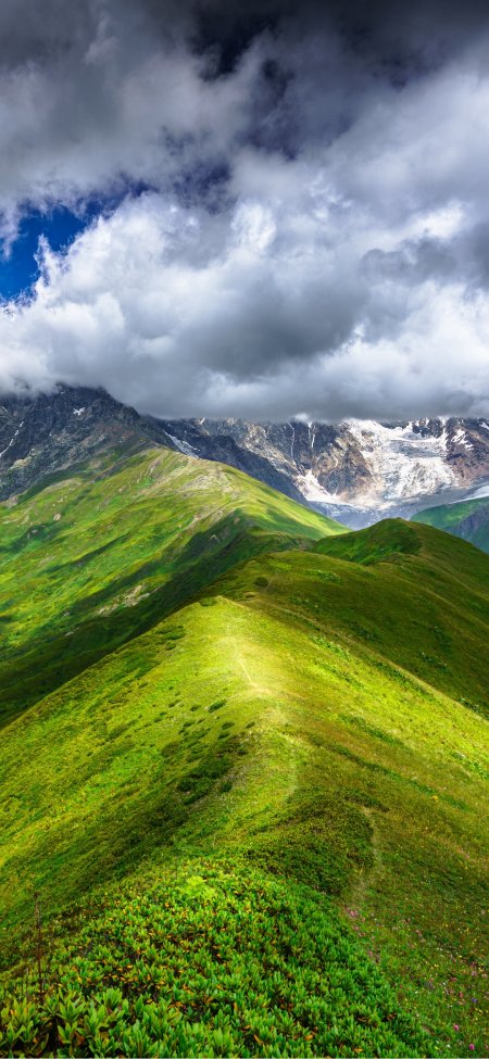 翠绿山脊蜿蜒通向远方雪山云影壮阔风景手机壁纸