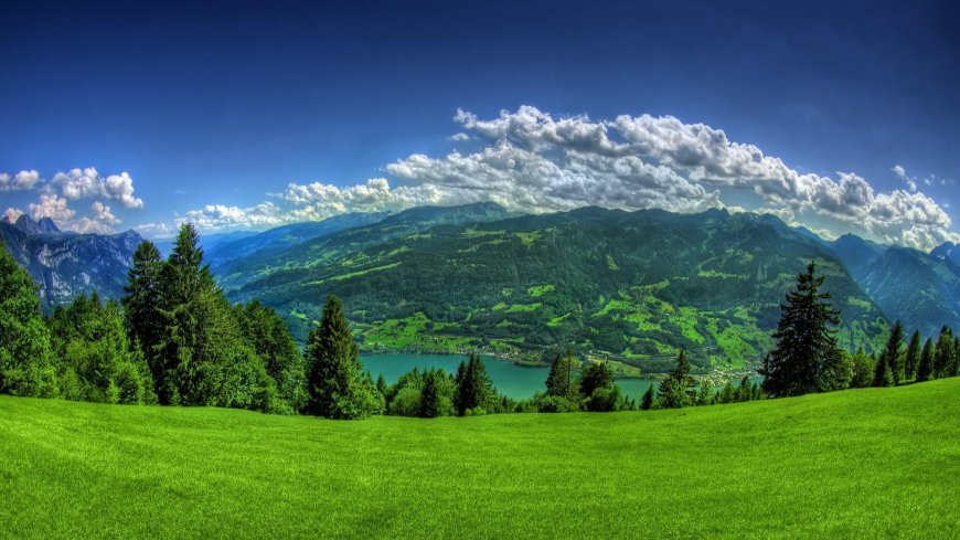 高山湖泊翠绿草地松林蓝天白云治愈风景电脑壁纸