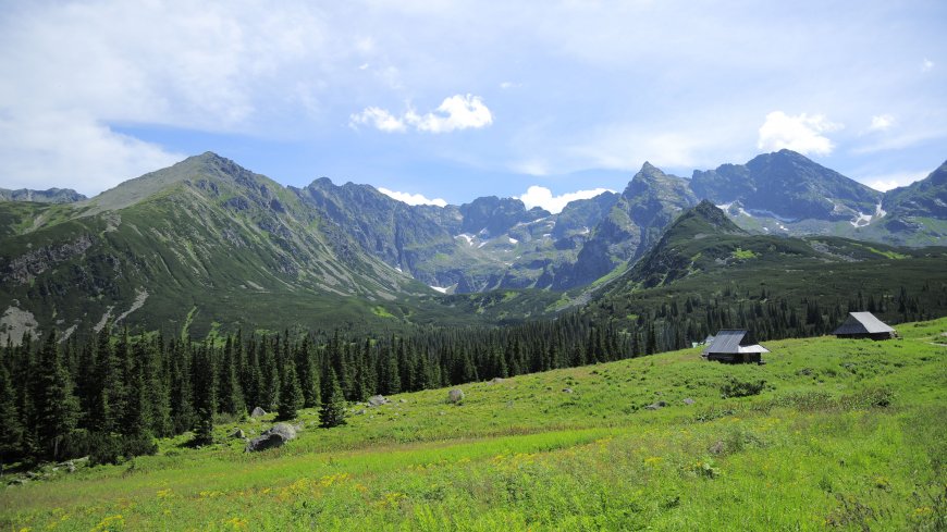 夏日高山草甸木屋针叶林蓝天风景电脑壁纸