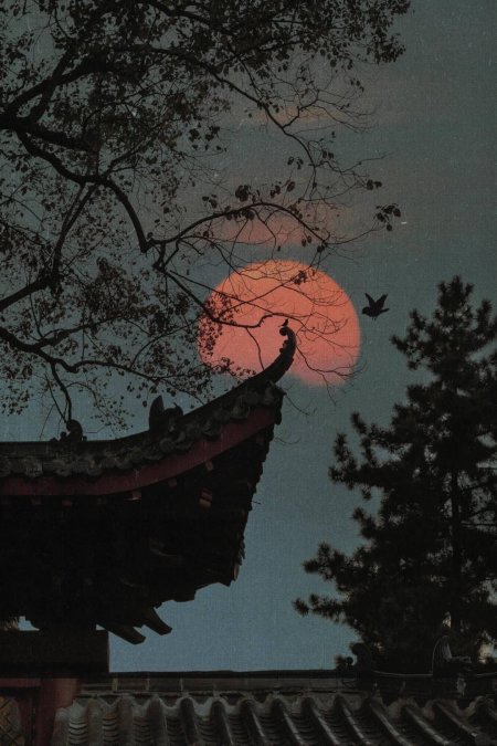 古建飞檐红月枝影意境风景手机壁纸