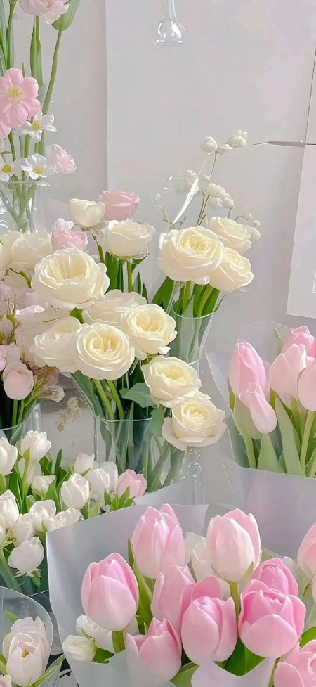 粉白郁金香玫瑰花艺鲜花手机壁纸