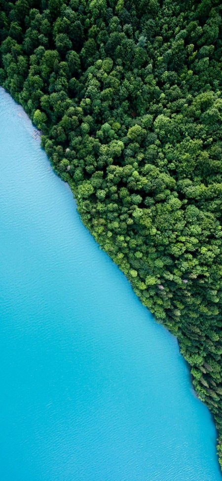 航拍绿林碧湖对角治愈风景手机壁纸