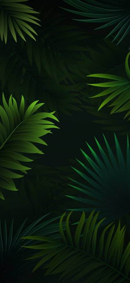 深绿棕榈叶暗调丛林植物手机壁纸